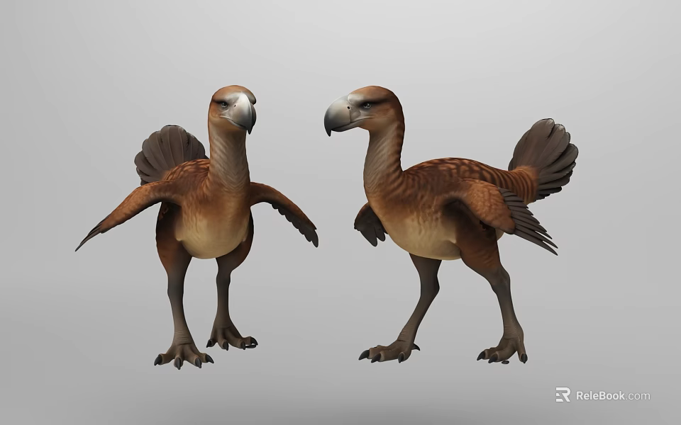 Detailed 3D Dodo Bird Models With Brown Feathers And Open Wings 3d model 