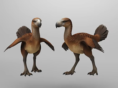 Detailed 3D Dodo Bird Models With Brown Feathers And Open Wings 3d model