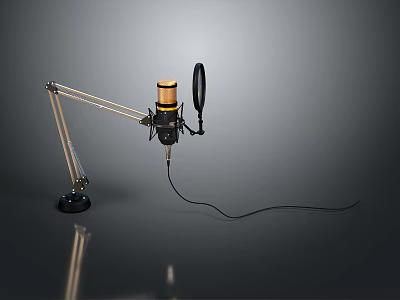 Modern Gold And Black Microphone With Boom Arm Stand Cable And Daily Use Design 3d model