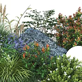 Beautiful Garden Flowers And Plants With Purple Red Blooms Green Grass Large Rock White Blossoms