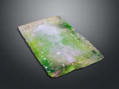 Green and Purple Terrain Surface with Irregular Texture and Scattered Spots 3d model