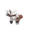 Decorative Ornament Set With Modern Vases Pink Protea And Red Eucalyptus Arrangements