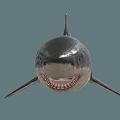 Realistic Gray Shark With Open Mouth Sharp Teeth And Dorsal Fin 3d model