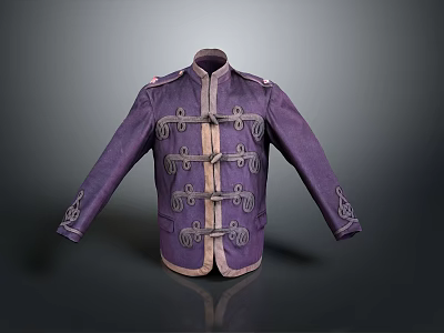 Purple Jacket With Decorative Buttons And Embroidered Cuffs For Daily Use 3d model