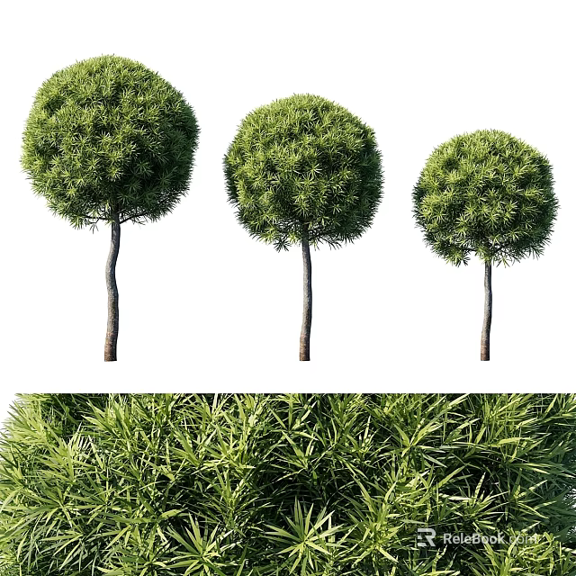 Decorative Plant Set With Three Round Green Topiary Plants For Indoor Home Decor Accent 3d model 