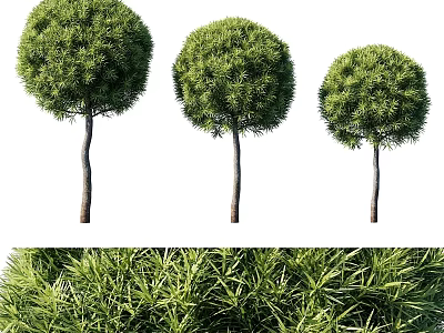 Decorative Plant Set With Three Round Green Topiary Plants For Indoor Home Decor Accent 3d model