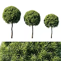 Decorative Plant Set With Three Round Green Topiary Plants For Indoor Home Decor Accent