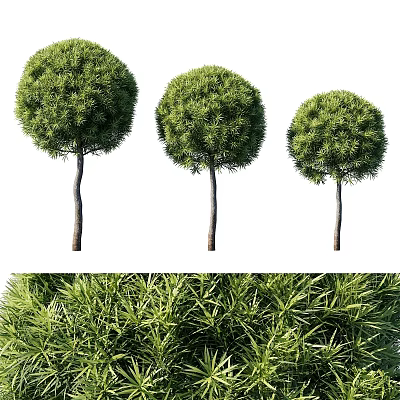 Decorative Plant Set With Three Round Green Topiary Plants For Indoor Home Decor Accent 3d model