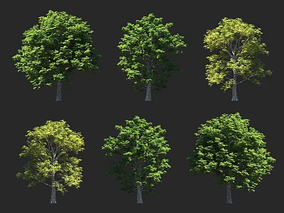 Different Types Of Arbor Trees With Lush Green Foliage And Varied Crown Shapes 3d model