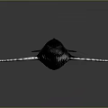 Realistic 3D Rendered Whale In Swimming Pose With Dark Color On Gray Background