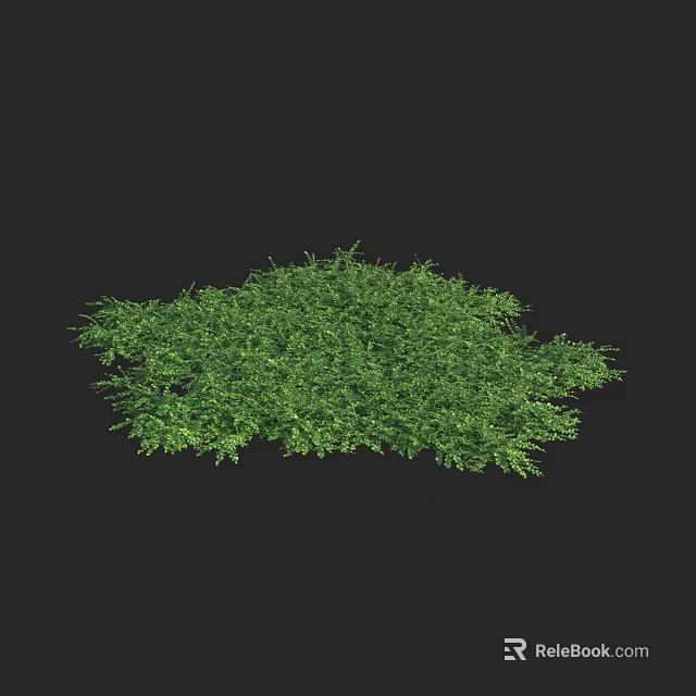 Lush Green Herb Foliage Dense Natural Plant Cover Isolated On Black 3d model 