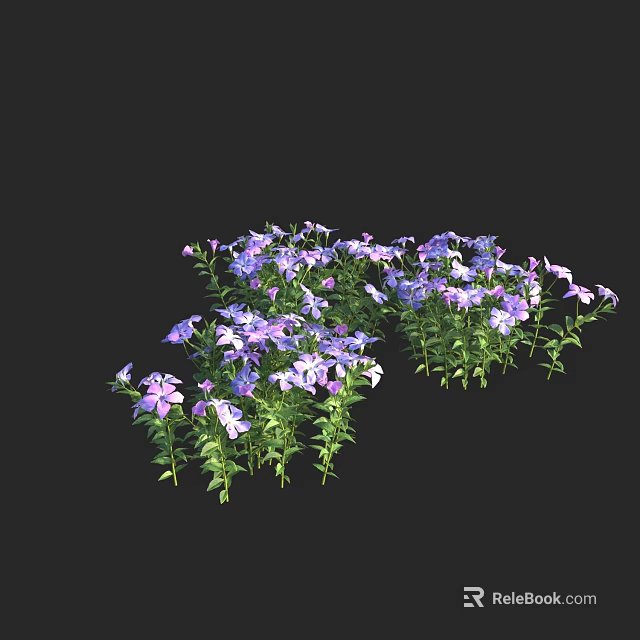 Vibrant Garden Flowers With Purple And White Blooms And Green Leaves 3d model 