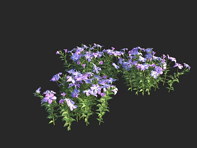 Vibrant Garden Flowers With Purple And White Blooms And Green Leaves 3d model