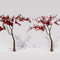 Two Arbor Trees With Red Leaves And Brown Trunks Against White Background And Casting Shadows 3d model