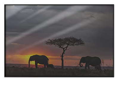 Silhouette of Elephants Near Acacia Tree at Sunset in Savanna Sky 3d model