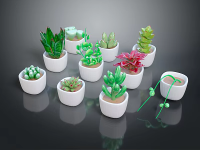 Various Succulent Plant Species Arranged in White Pots on Black Background 3d model