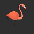 Aquatic Bird Flamingo With Orange Plumage Standing On One Leg Against Dark Background 3d model