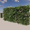 Living Green Wall With Lush Ferns And Plants Against Blue Sky White Clouds