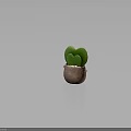 Heart Shaped Green Succulent Plant in Brown Clay Pot with Simple Gray Background