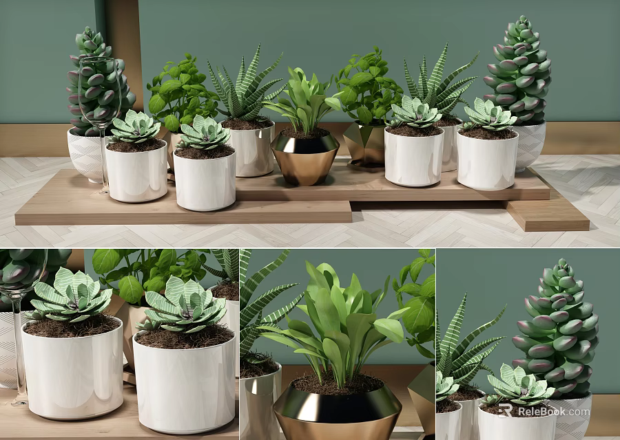 Various Bonsai Potted Plants With Green Leaves In Decorative Ceramic Pots On Wooden Shelf 3d model 