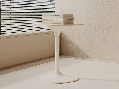 Modern Minimalist White Side Table With Books By Window And Wooden Wall Interior 3d model