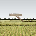 Nest Shaped Observation Deck Over Vast Wheat Field With Ladder Access And Distant White Houses