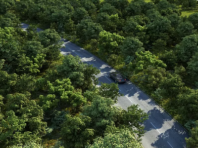 Municipal Road Surrounded By Lush Green Trees With Car Driving On Smooth Pavement 3d model