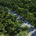Municipal Road Surrounded By Lush Green Trees With Car Driving On Smooth Pavement