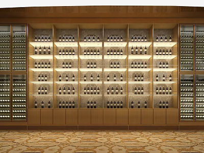 Elegant Wine Cellar Interior Design With Illuminated Racks And Arranged Bottles 3d model