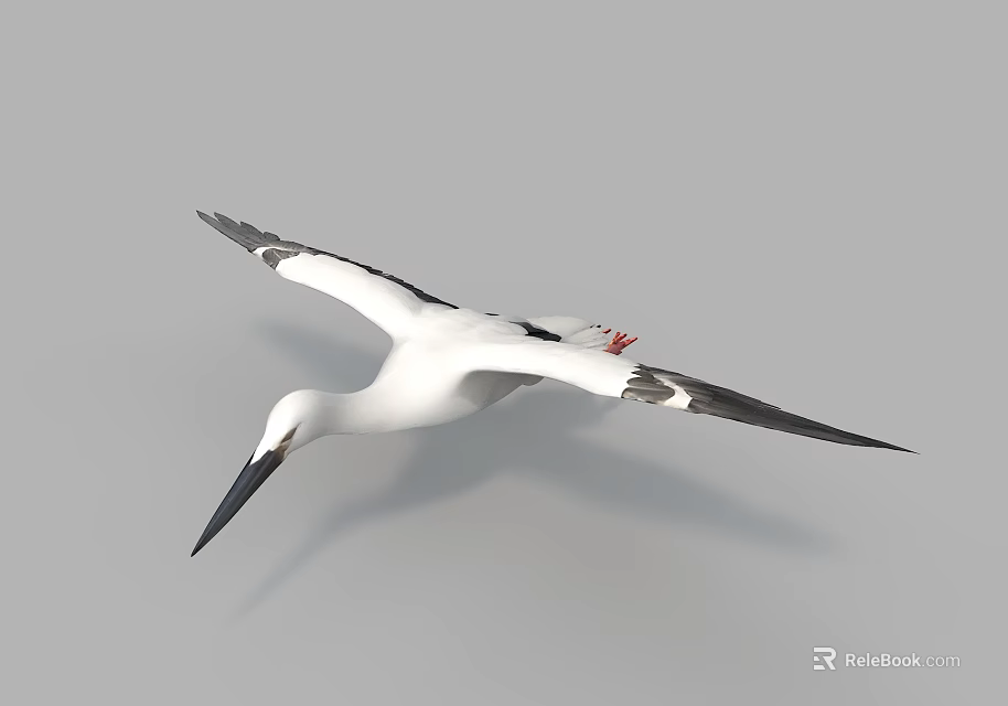 White Flying Bird With Black Wings Long Beak And Red Feet In Gray Sky 3d model 