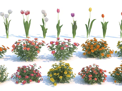 Modern Flower Tulip Flowers 3d model