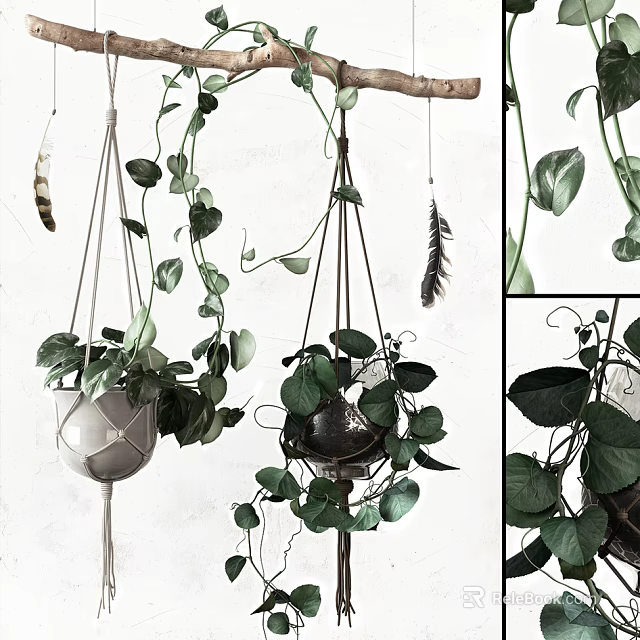 Macramé And Metal Hanging Basket Plants Featuring Lush Trailing Green Foliage Indoor 3d model 