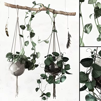Macramé And Metal Hanging Basket Plants Featuring Lush Trailing Green Foliage Indoor 3d model