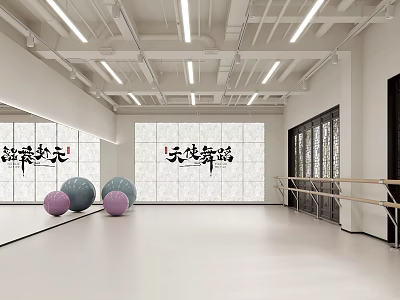 Spacious Fitness Dance Studio Featuring Colorful Exercise Balls Wooden Barres And White Floor 3d model