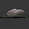 Natural Large Rock Surrounded By Lush Green Grass And Pink Leaves