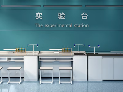 Laboratory Workbench with Instrument Racks Sink and Blue Wall Background Setup 3d model
