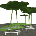 Garden Landscape With Giant Green Lotus Leaf Structures And White Benches Among Trees
