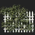 Lush Green Vines Covering White Picket Fence For Outdoor Decorative Scene