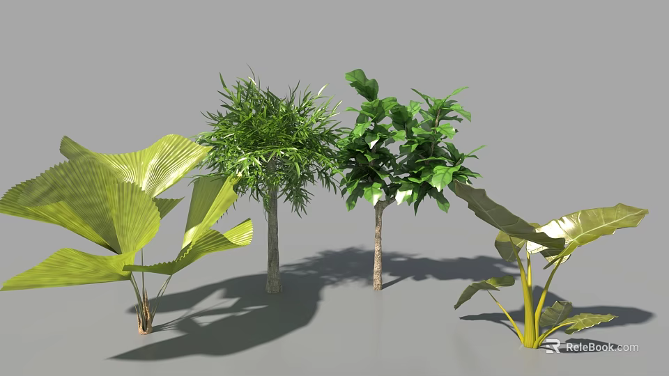 Different Types Of Trees With Lush Green Leaves And Surrounding Foliage Shadows On Ground 3d model 