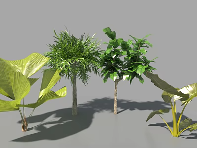 Different Types Of Trees With Lush Green Leaves And Surrounding Foliage Shadows On Ground 3d model