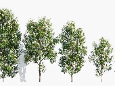 Modern Tree Lemon Peach 3d model
