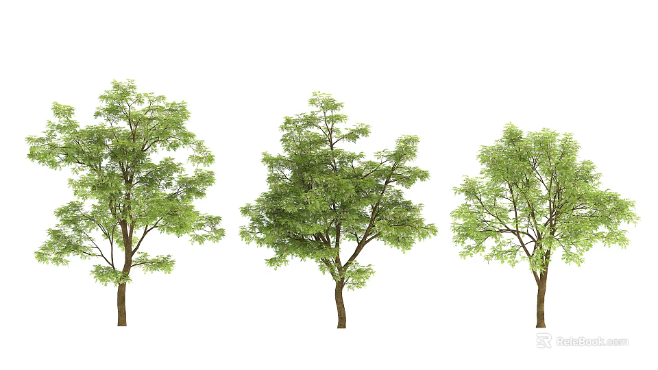 Green Leafy Arbor Trees With Different Shapes And Brown Trunks On White 3d model