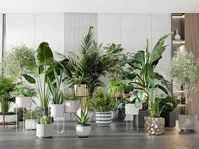 Diverse Indoor Potted Plants With Stylish Planters and Green Leafy Arrangement 3d model