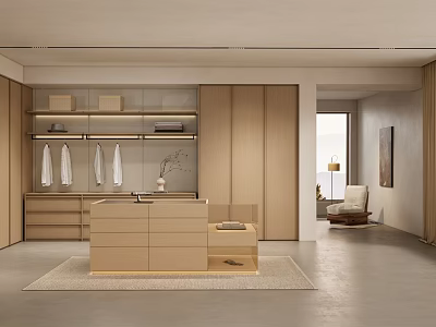 Modern Minimalist Walk in Closet Interior With Wooden Cabinets Drawers Shelves And Hanging Rods 3d model
