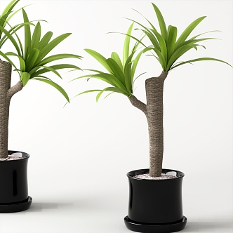 green plant potted plant 3d model