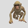Cute Monkey With Light Brown Fur And Dark Eyes In Crouching Position 3d model