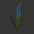 Vibrant Blue Hyacinth Plant With Green Leaves On Single Stem Against Gray Background
