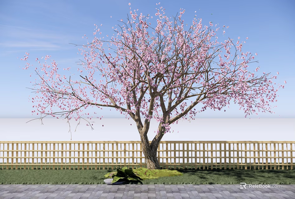 Garden Landscape With Pink Blossom Tree Wooden Fence and Brick Pavement 3d model 