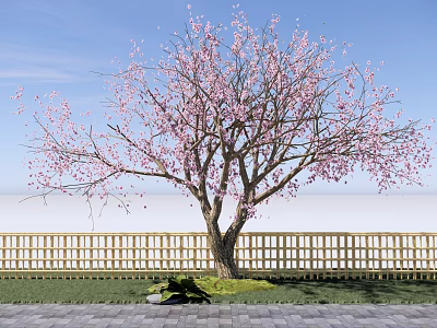 Garden Landscape With Pink Blossom Tree Wooden Fence and Brick Pavement 3d model