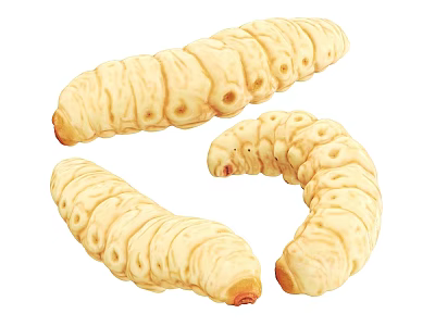 Three Yellow Reptile Larvae With Segmented Body And Holes In Curved Shape 3d model